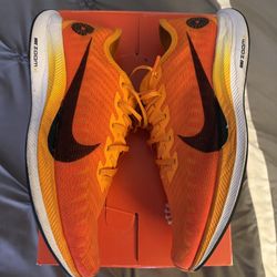 Size 9.5- Nike Zoom Pegasus Turbo 2 Blue Ribbon Sports Used