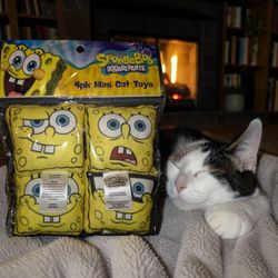 SpongeBob Mini Cat Toys