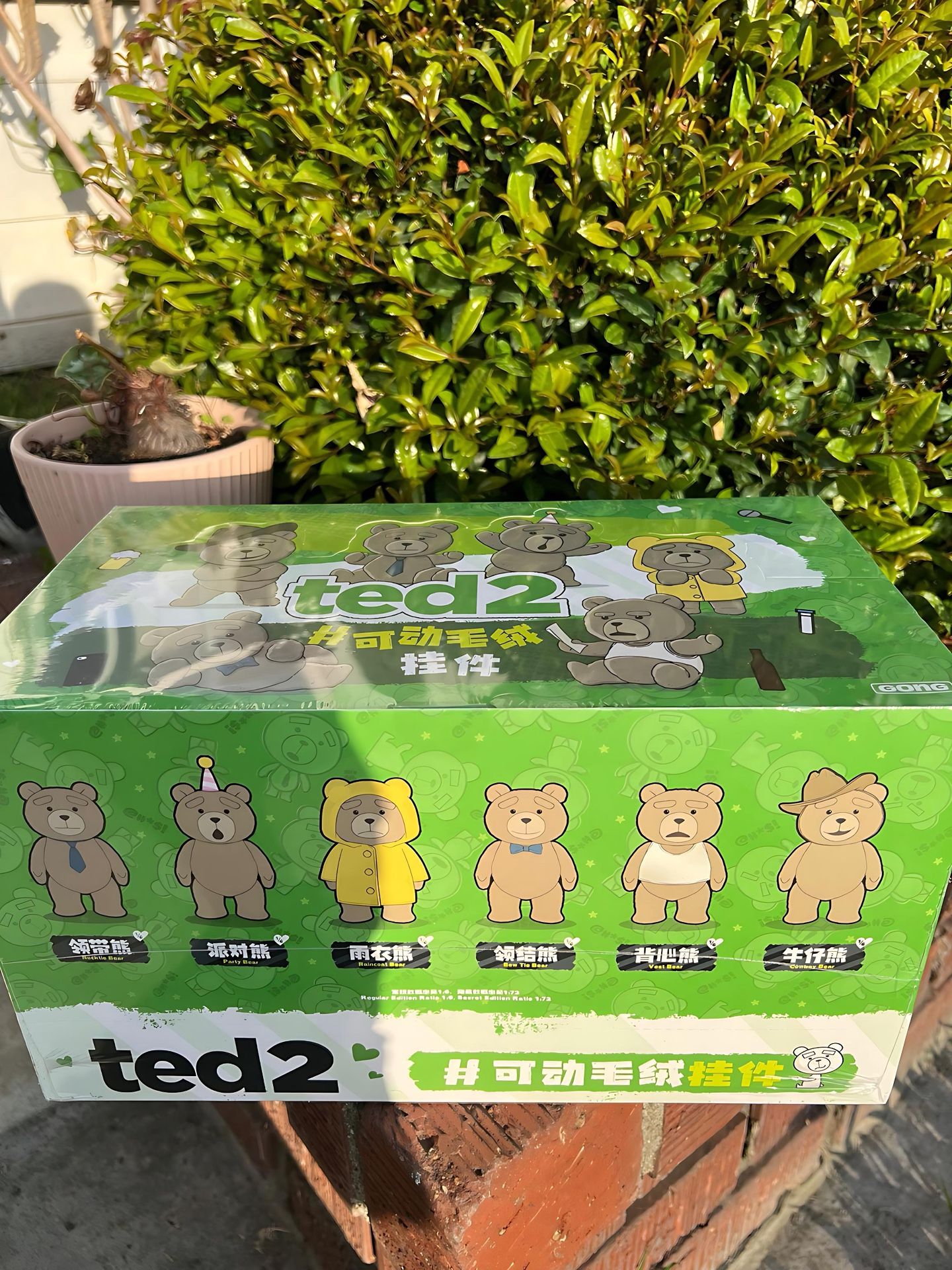 Ted 2 Authentic Pop mart Box