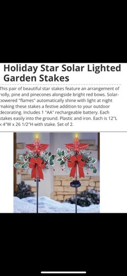 Holiday Star Solar Lighted Garden Stakes