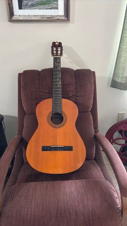 Guitar Goya G-115 classic