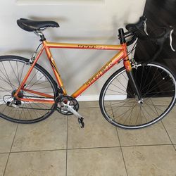Trek Road Bike  $400 OBO 