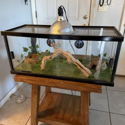 Reptile/Terrarium/Aquarium 20 Gallons long Tank With Set Up ( No Animals Included ) ( Have More Tanks Available) *** Great Condition ***