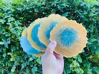 Resin Coasters