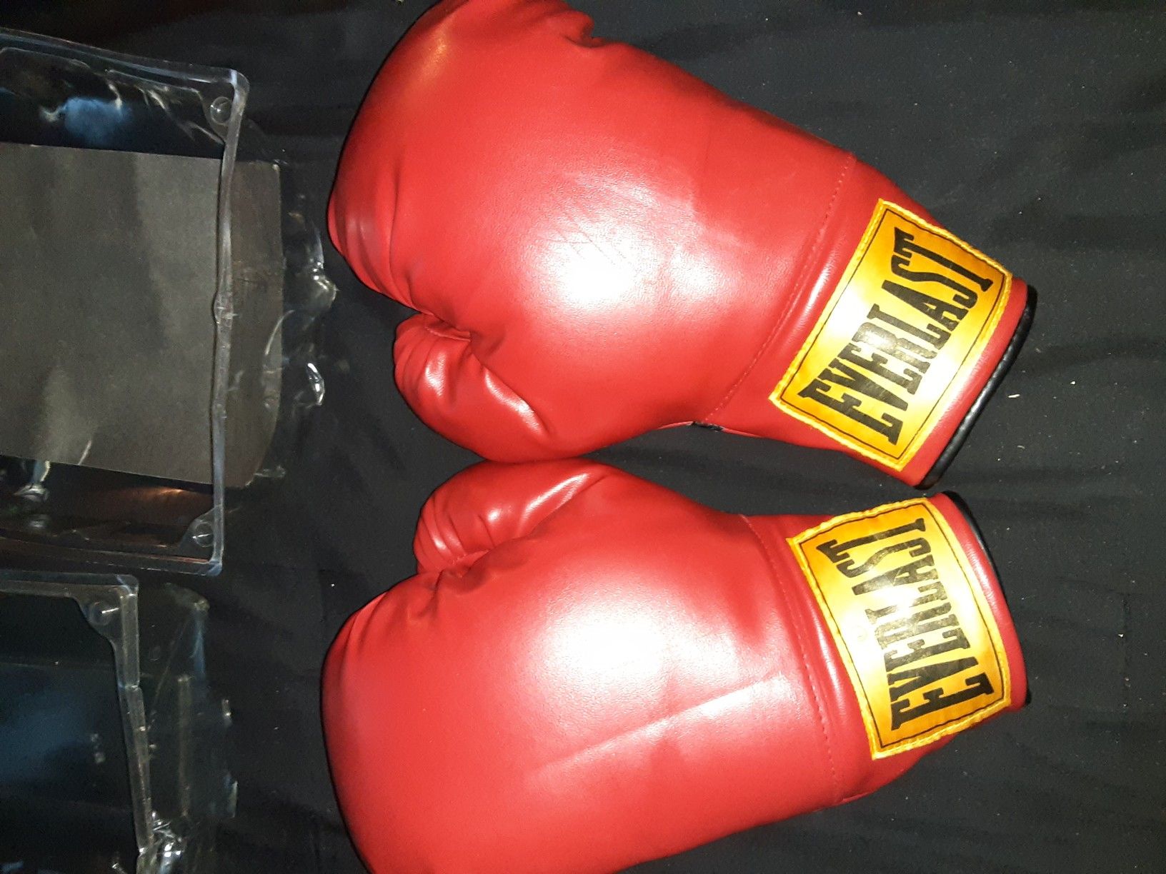 Everlast boxing gloves