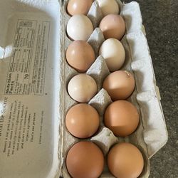 Fresh Chicken Eggs By The Dozen