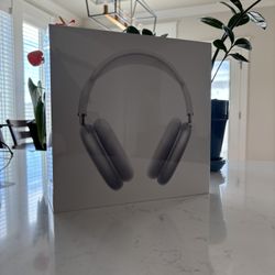 AirPod AirMax Silver Headphones 