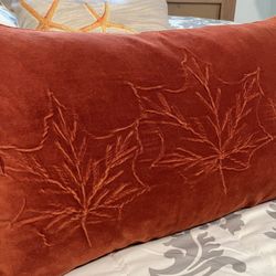 Beautiful Feathers Cushion $7