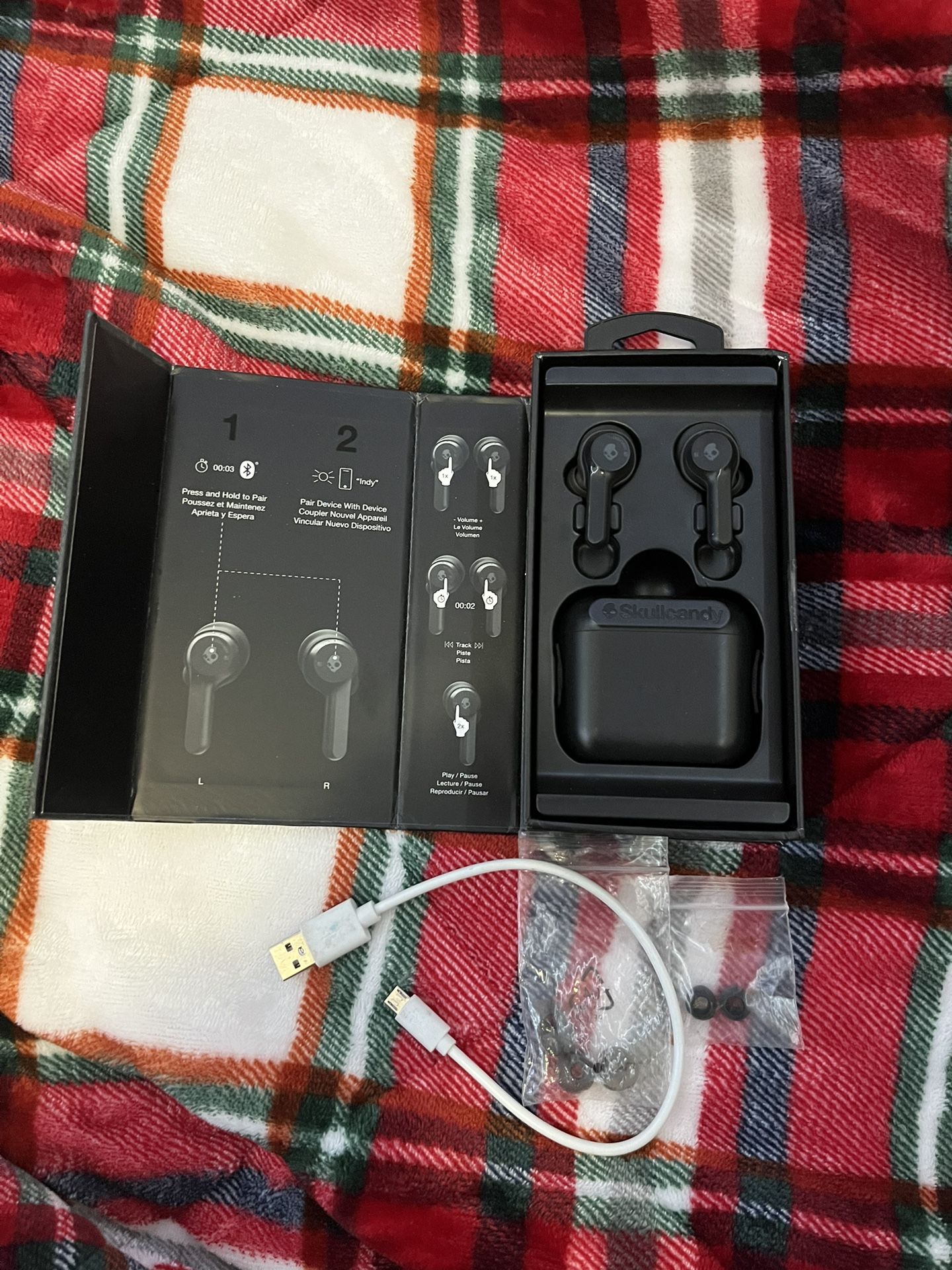 Skullcandy Indy Earphones 