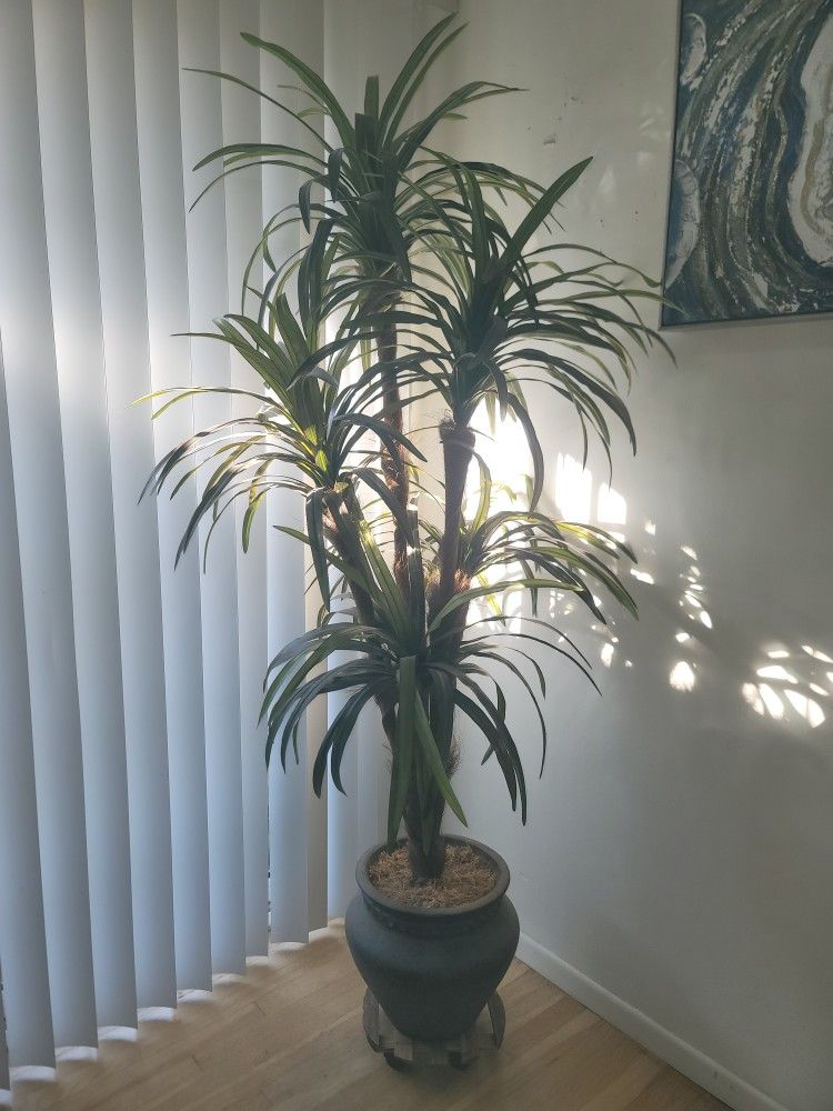 FAKE TALL PLANT ALMOST LIKE REAL VERY BEAUTIFUL