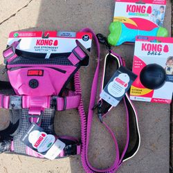 Kong Dog Lot