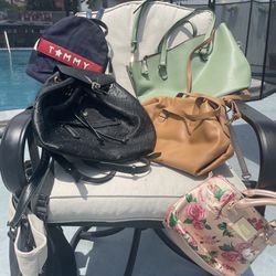 Purse/Backpack/Handbag