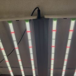 Grow Lights LED