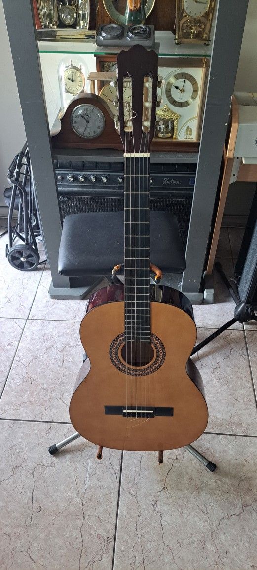Acoustic Guitar