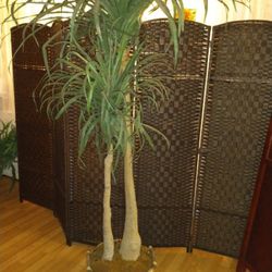 Tall Faux Plant, Over 6ft Tall