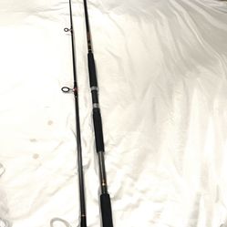 New Only Used Once- Penn (SpinFisher) SBG-9810MH  10ft two piece, medium, heavy action, fishing rod