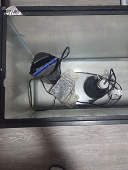 Twenty gallon tank with filter and heat lamp.