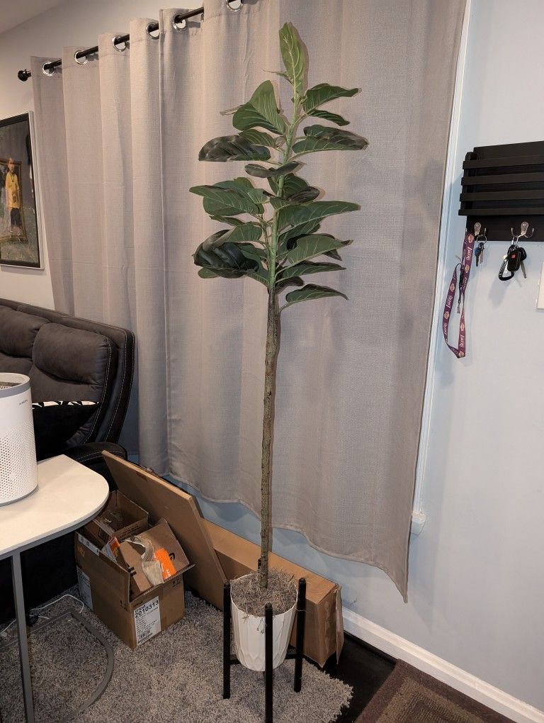 Tall Plant (Fake)