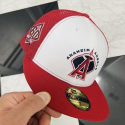 Angels Fitted Size 7
