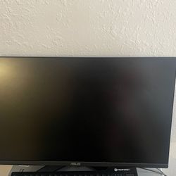Asus Monitor 165 Hz 