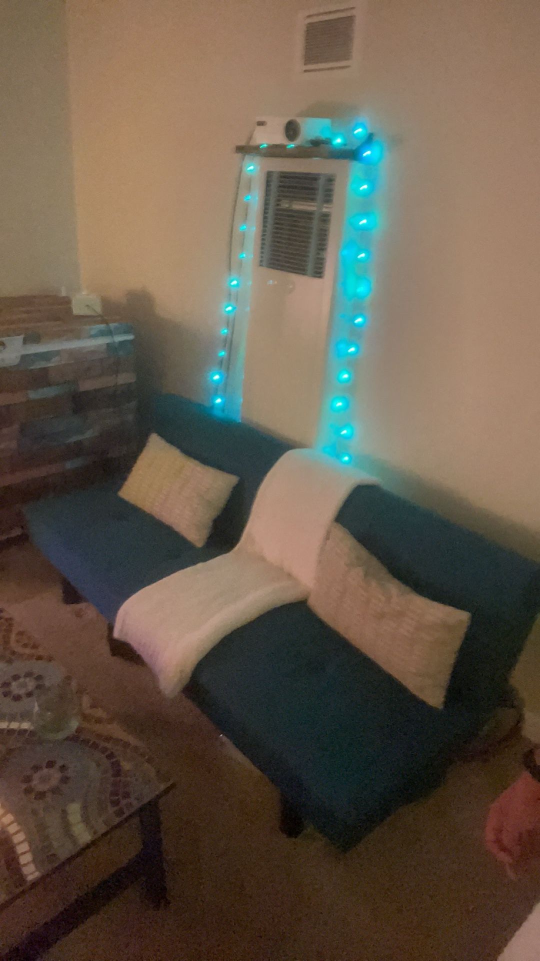Futon Couch