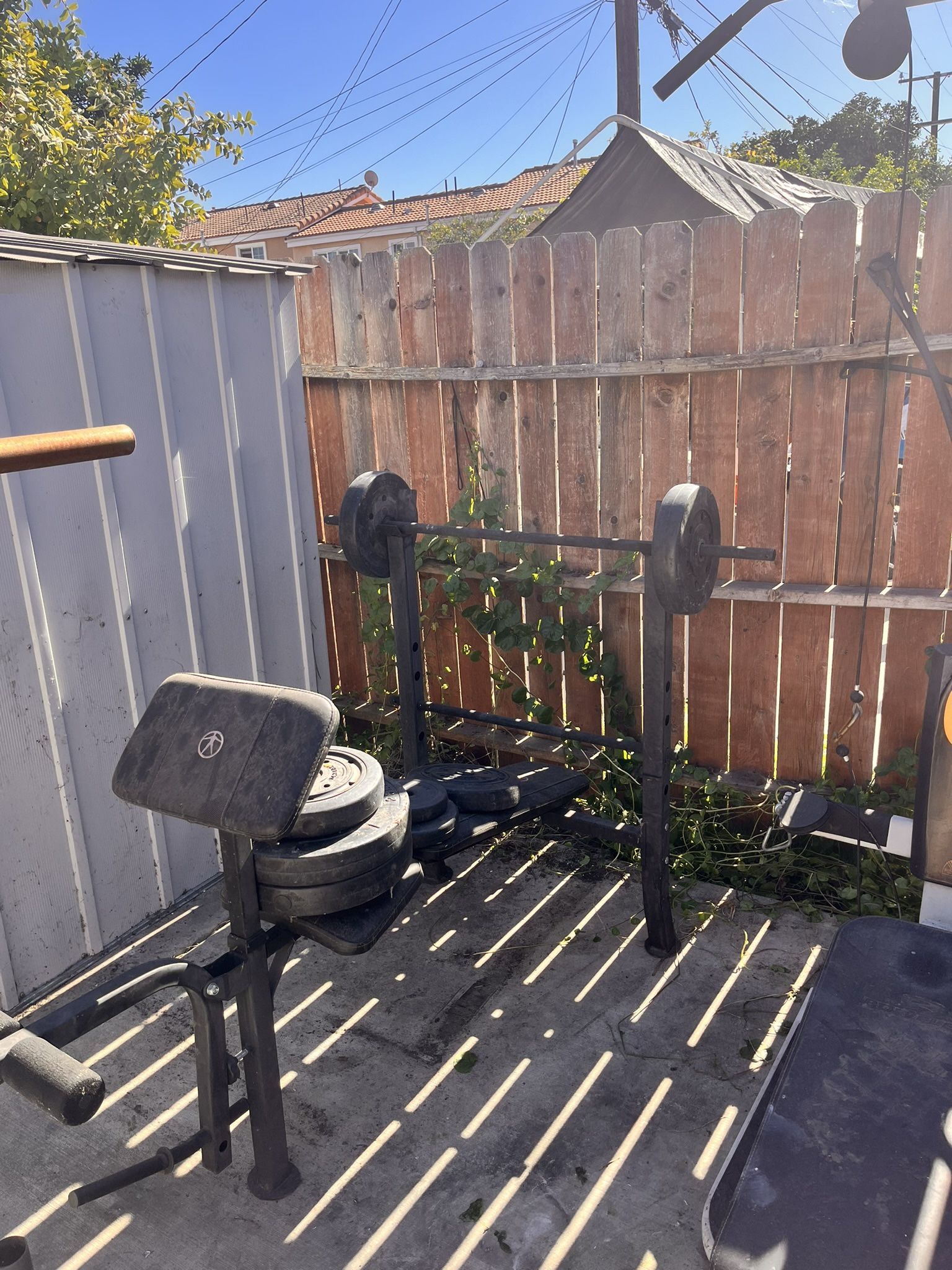 Bench Press Weight Bench