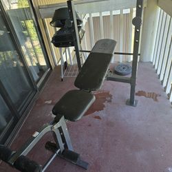 Gold's Gym Weight Bench