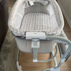 Ingenuity Dream & Grow Bedside Bassinet 