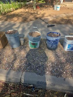 Rock lots of rock free with buckets