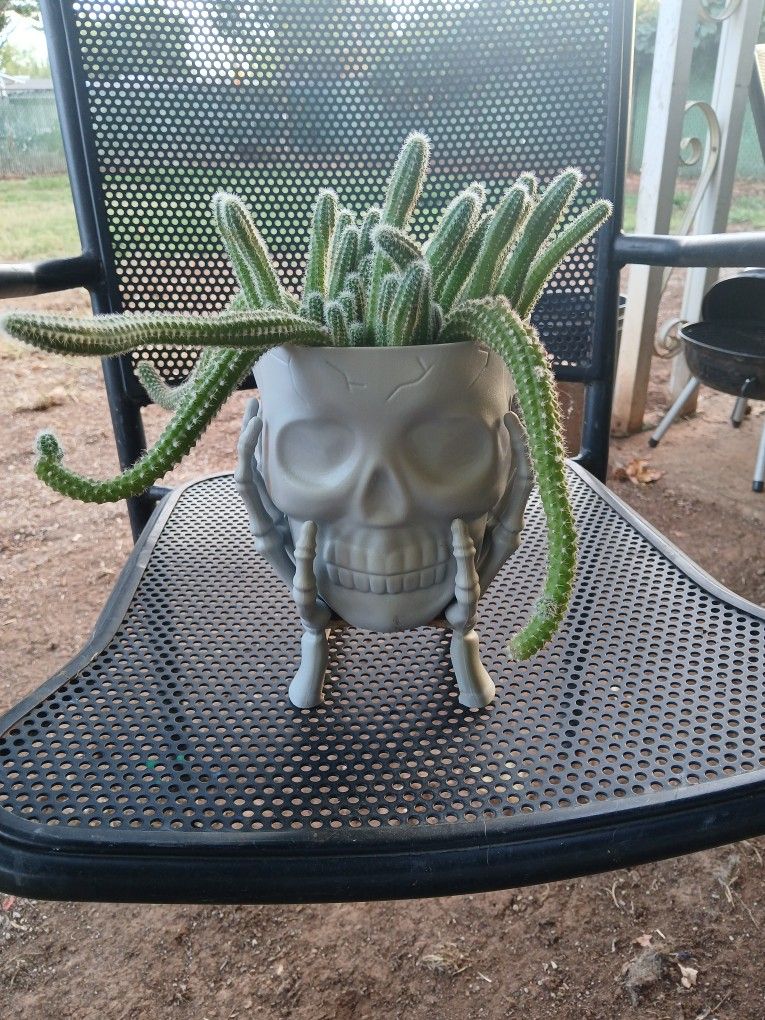 Plants