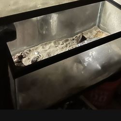 40 Gallon Breeder
