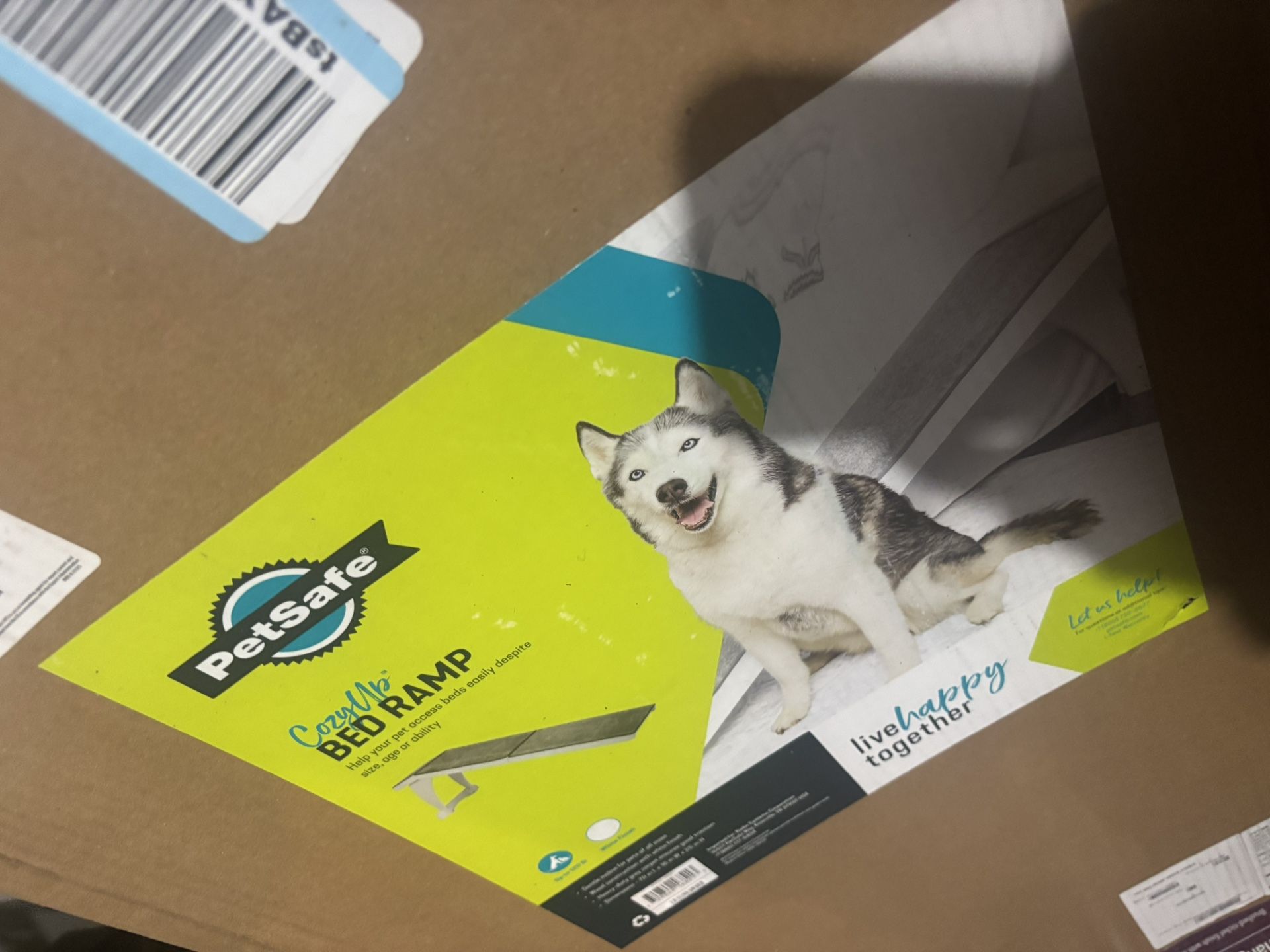 Brand New In Box Dog Ramos