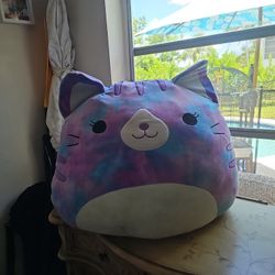 Giant Squishmallows Cat 24 Inches Good Condition 