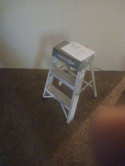 2 foot ladder