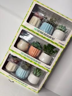 Home Decor Plants