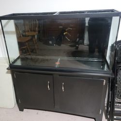 Aquarium (60 Gallon)