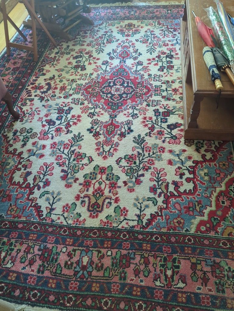 Oriental Style Area Rug 