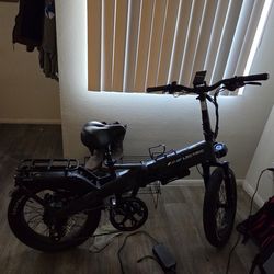 LECTRIC XP4 750W model