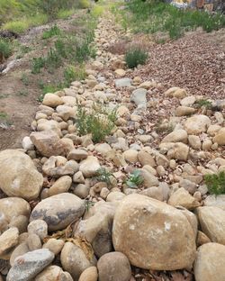 Natural rock for sale