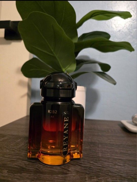 Reyane Tradition R2B2 A.I