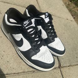 Dunks Size 9 Mens