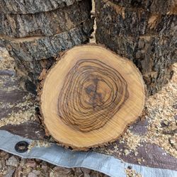 Rustic Wood Rounds Olive Wood