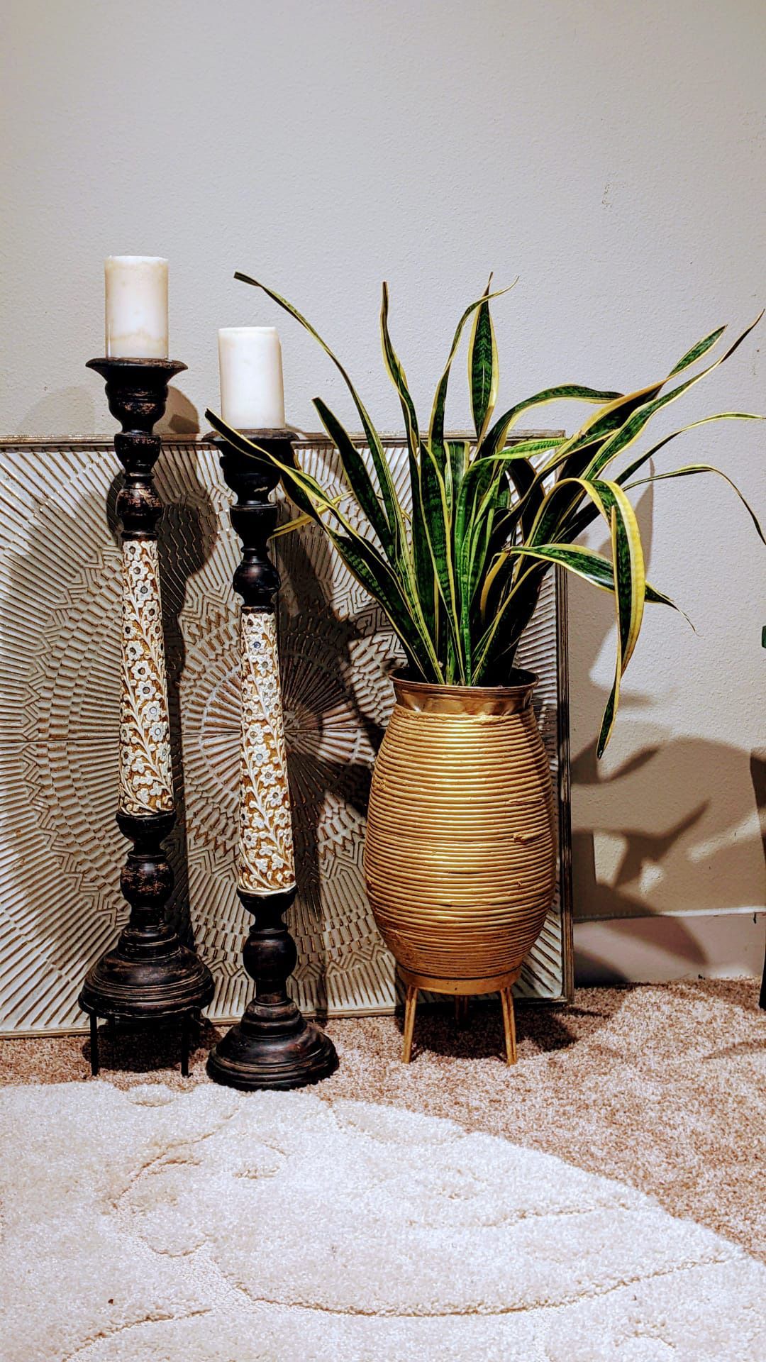 Big Snake Plant with Bamboo Planter