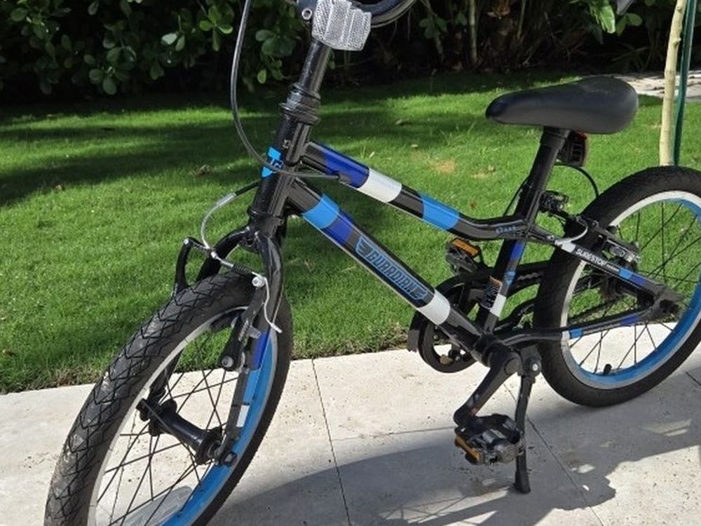 Guardian 14-inch Bike