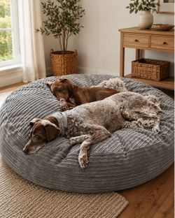 CordaRoy’s 50” Bean Bag Dog Bed (make me an offer)