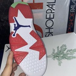 Jordan retro six