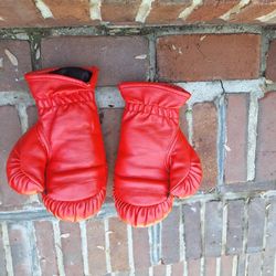 Boxing And Muay Tai  Gloves