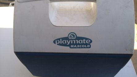 Playmate max cold
