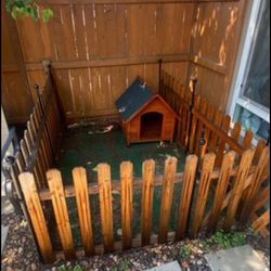 Dog play area and Dog house