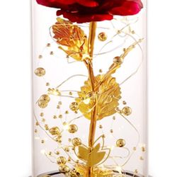 Valentines Day Gifts for her, Beauty and The Beast Rose, Birthday Gifts for Women, Glass Dome Glowing Rose, Eternal Rose Blessing Valentine Flowers Gi